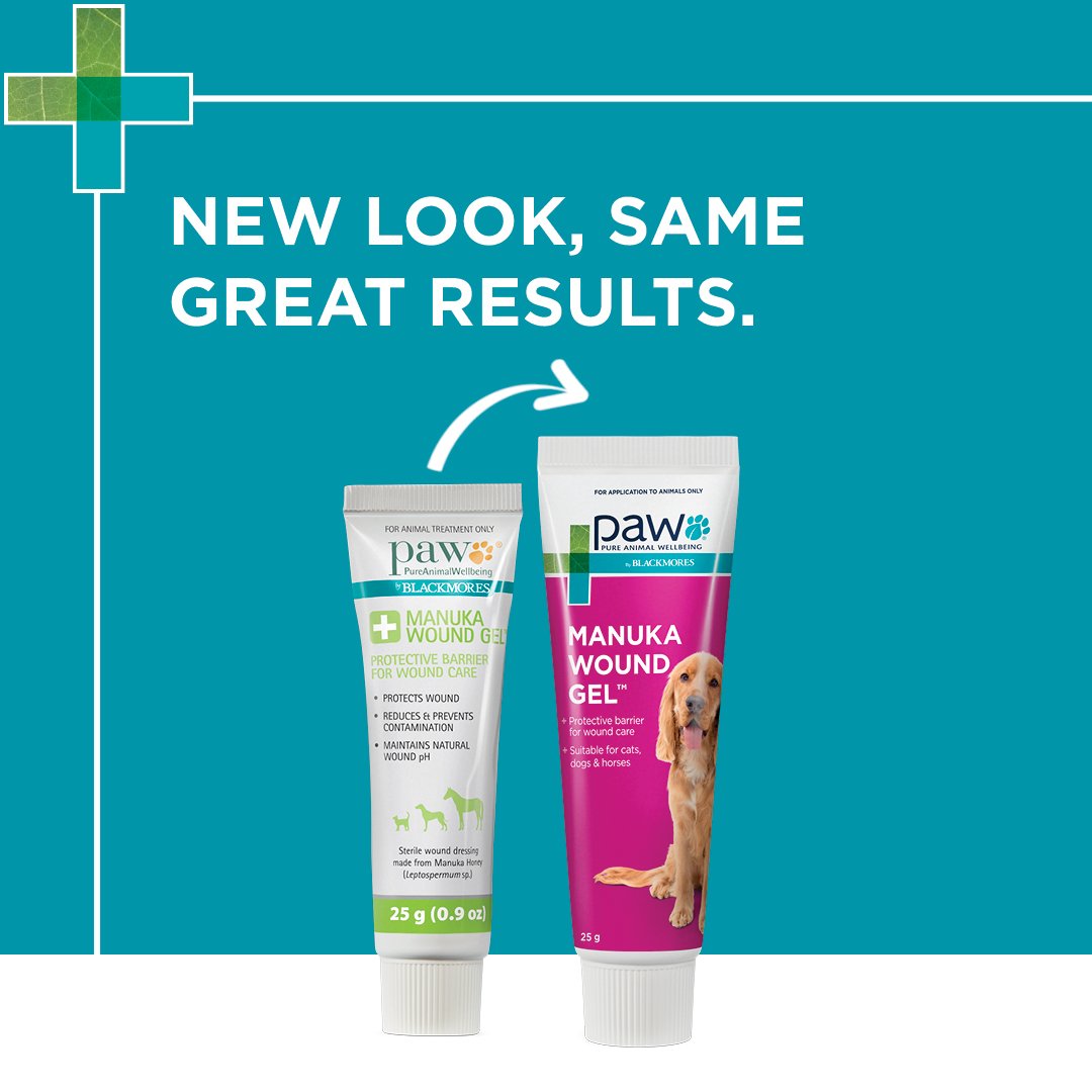 Blackmores: Paw – Manuka Wound Gel